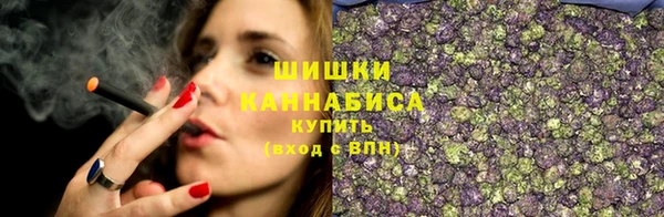 мдпв Бронницы
