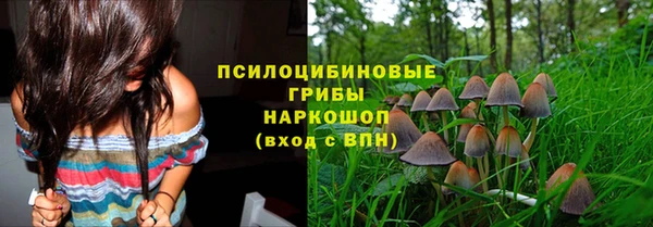 мдпв Бронницы