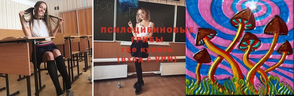мдпв Бронницы