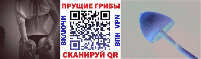 Галлюциногенные грибы мухоморы Порхов