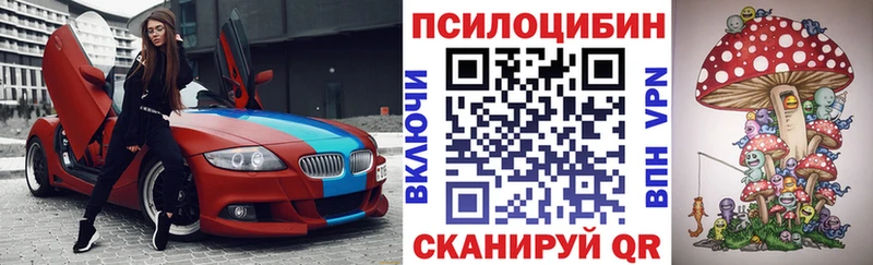 Купить  Порхов  Галлюциногенные грибы прущие грибы 